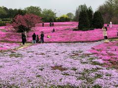 -棒棰岛宾馆景区