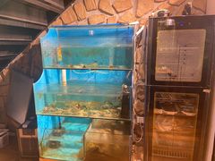 水产区-Thai Basil罗勒叶泰式餐厅(时代天街店)