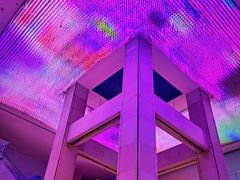 -证大喜玛拉雅中心