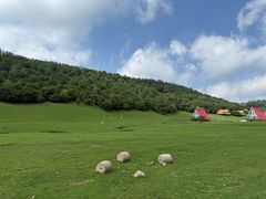 -关山草原