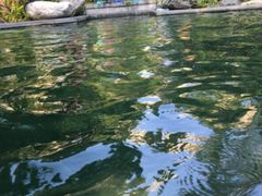 -海兰云天度假区温泉