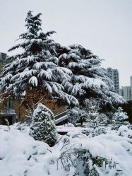 -尚荷国际产后修复中心(中原万达直营店)