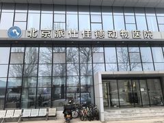 -北京派仕佳德动物医院·超导核磁·CT·神经科·骨科·内外科·急重症管理中心
