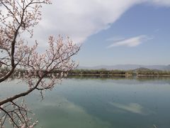 -颐和园