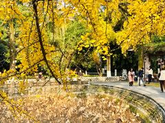 -四川大学(华西校区)