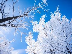 -中旅松花湖滑雪场