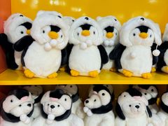 -海合安武汉极地海洋公园