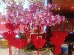 -阿瓦山寨·湘菜现炒·剁椒鱼头王(咸阳总店)