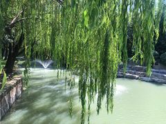 -同里湖度假村(二期店)