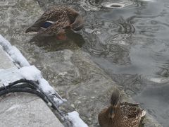 -水磨沟公园