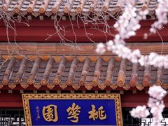 -桃花堤公园
