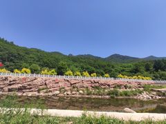 -三块石国家森林公园