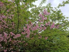 -杭州城北体育公园