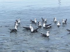 -银沙滩浴场