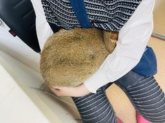-宠颐生中康贝怡动物医院