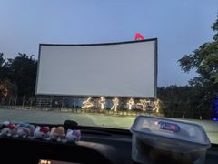 -枫花园汽车电影院(朝阳公园店)