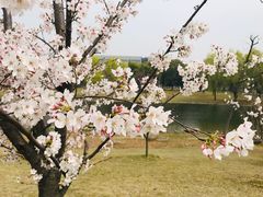 -同济大学(嘉定校区)