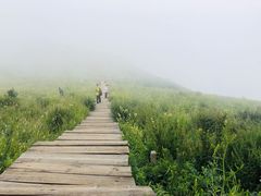 -白草畔自然风景区