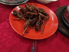 -联丰美食(番禺店)