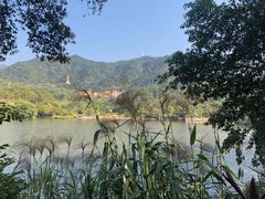 -深圳仙湖植物园