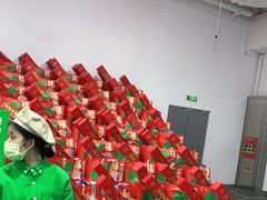 -中粮·祥云小镇