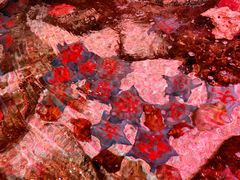 -沈阳海洋探索中心