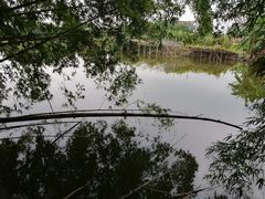 -江门古劳水乡旅游区