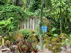 -中国科学院西双版纳热带植物园