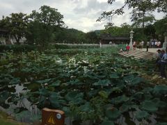 -惠州西湖丰渚园