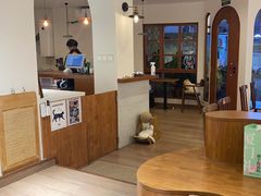 -有猫主题·治愈系猫咖(曾厝垵店)