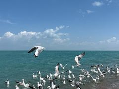 -青海湖二郎剑景区