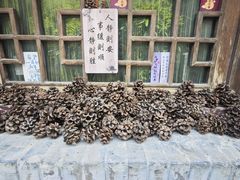 -万寿八仙宫