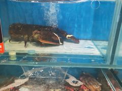 水产区-海味当家(西安路店)
