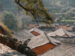 -杨家堂村