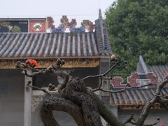 -梁园