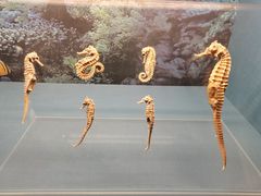 -常州博物馆