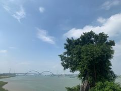 -八仔大富楼·河鲜(西江店)