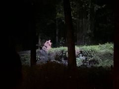-夜间野生动物园