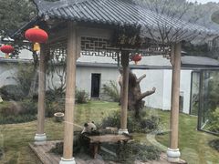 -无锡动物园·太湖欢乐园