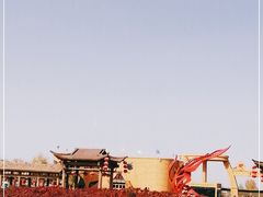 -金塔沙漠胡杨林景区