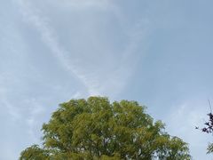 -石家庄市植物园