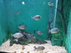 -常州海昌海洋探索馆