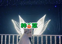 -金夫人婚纱摄影(总店)