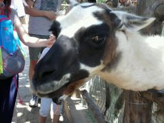 android_upload_pic-西安秦岭野生动物园