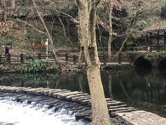 -阿哈湖国家湿地公园