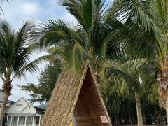 -玫瑰海岸文化旅游度假区