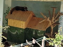 -青藏高原野生动物园
