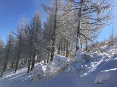 -多乐美地滑雪场