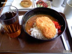 炸猪排咖喱饭-食其家·牛丼咖喱(广元西路店)