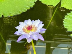 -国家植物园